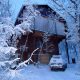 Зима в Пушкинском доле 11