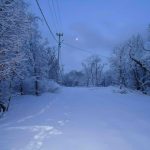 Зима в Пушкинском доле